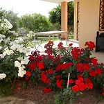 Gabriella Σπίτι διακοπών Villa San Pietro