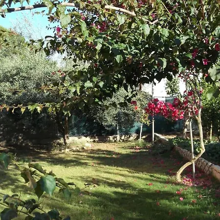 Gabriella * Villa San Pietro