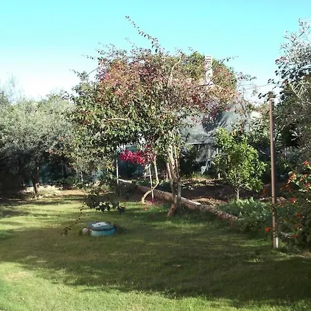 Gabriella * Villa San Pietro