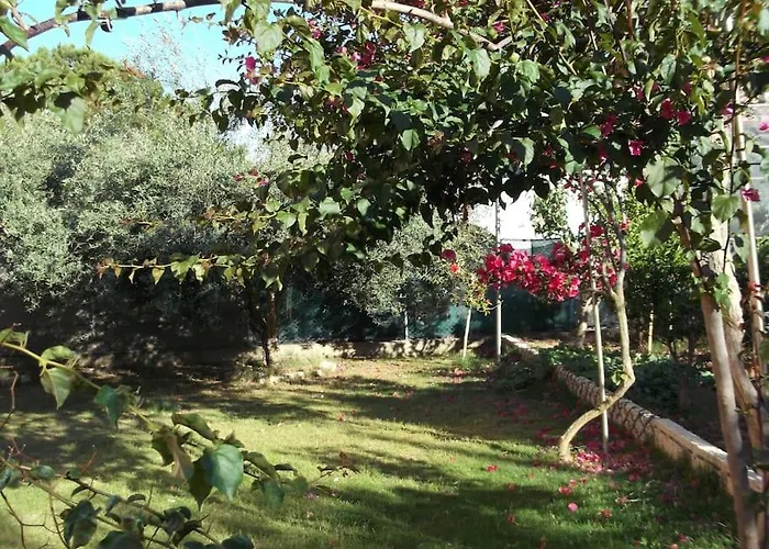 Gabriella * 圣彼得罗镇